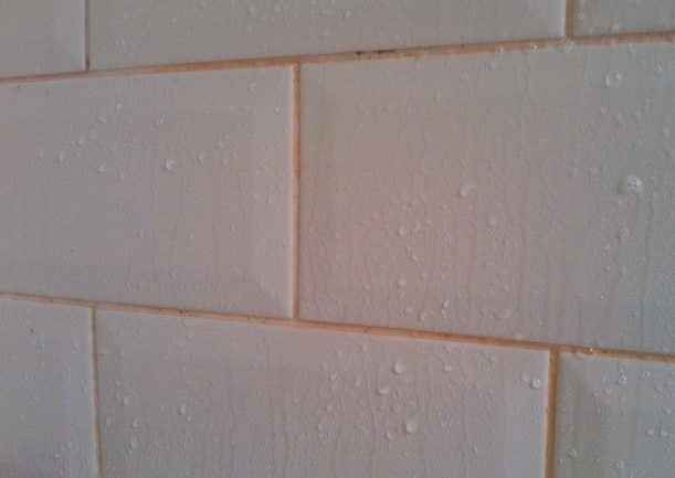 How to Get Rid of Pink Mold in the Shower - This Old House