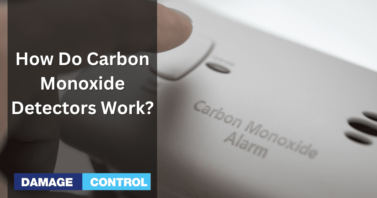 How Do Carbon Monoxide Detectors Work?