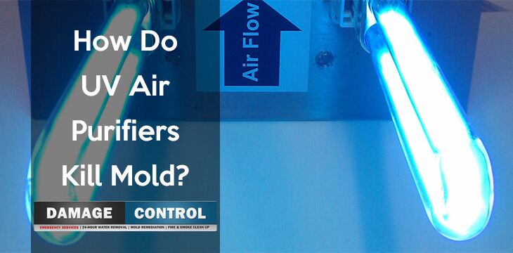 Why Do UV Air Purifiers Kill Mold? -- Damage Control 911