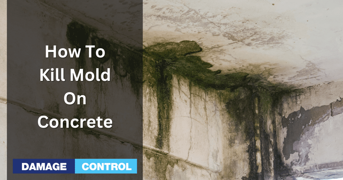 How to Get Rid of Concrete Mold - The Complete Guide