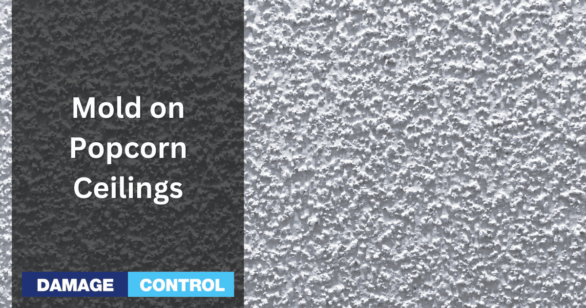 Mold On Popcorn Ceiling Causes Signs