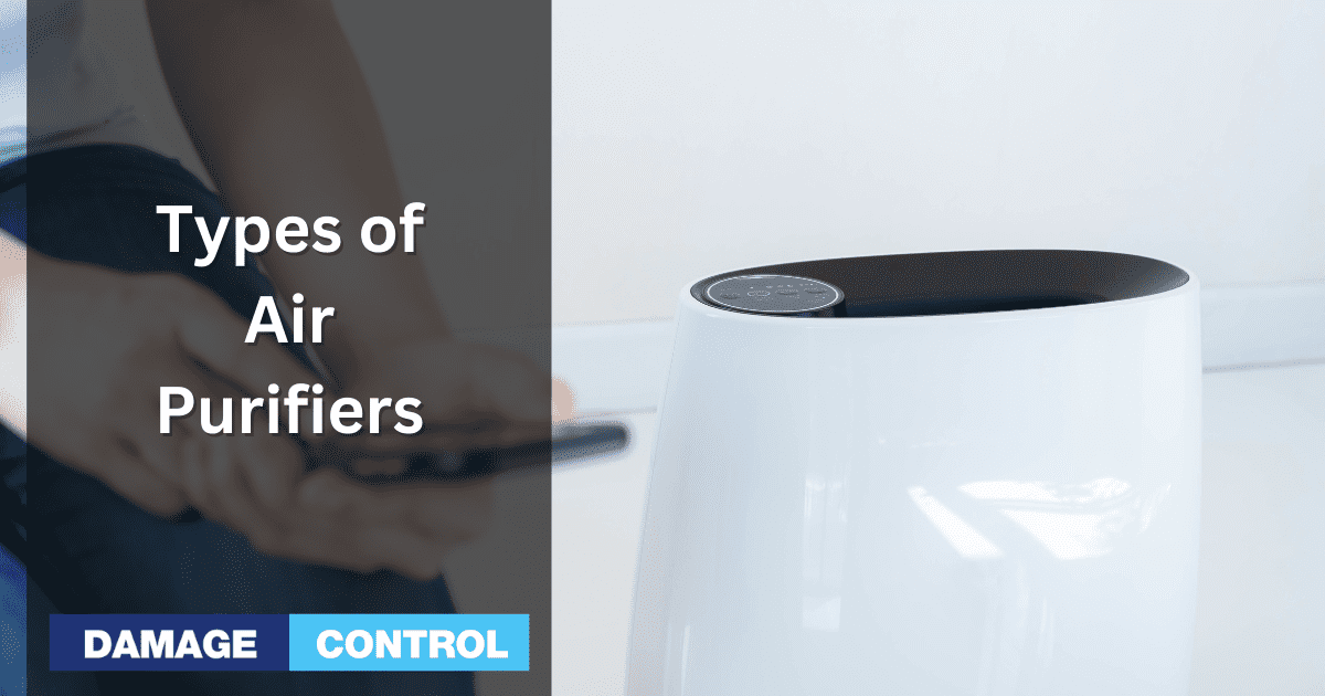 air purifier: Things to keep in mind before buying air purifier